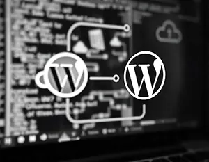 Wordpress Website Development Services 3 Reliable Technical Setup And Hosting