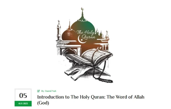 Screenshot of Desired Momin Blog